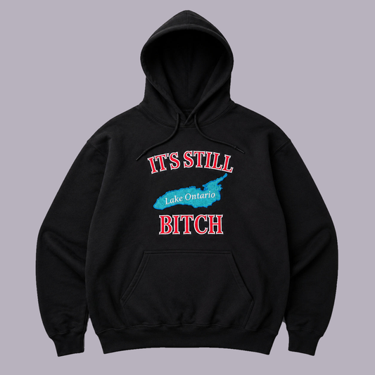 It's Still Lake Ontario Hoodie — product view on grey-purple background