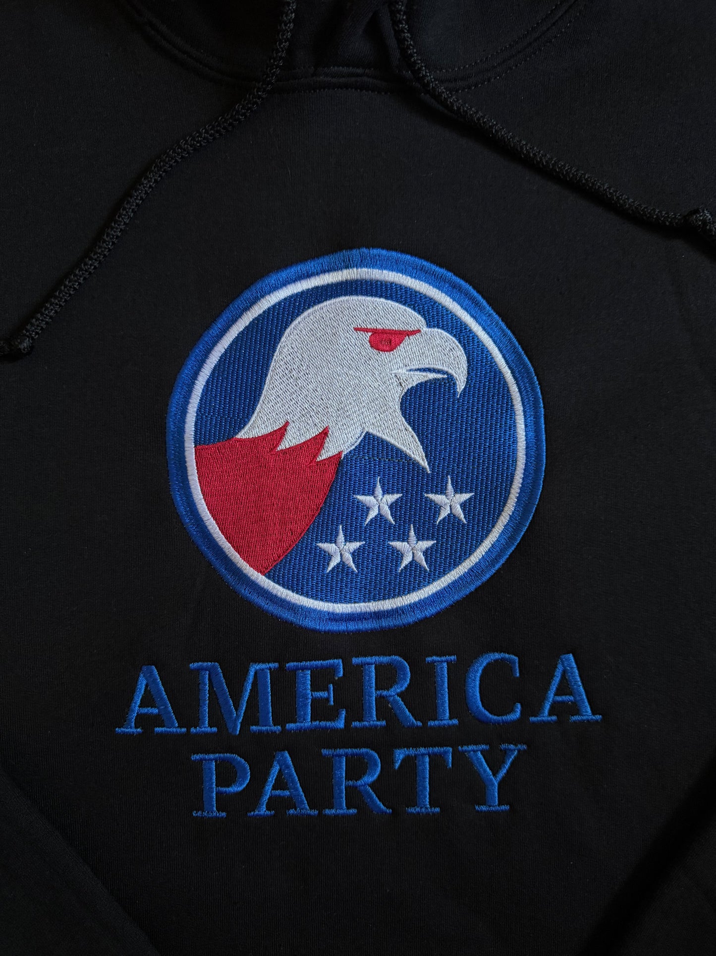 America Party Embroidered Hoodie