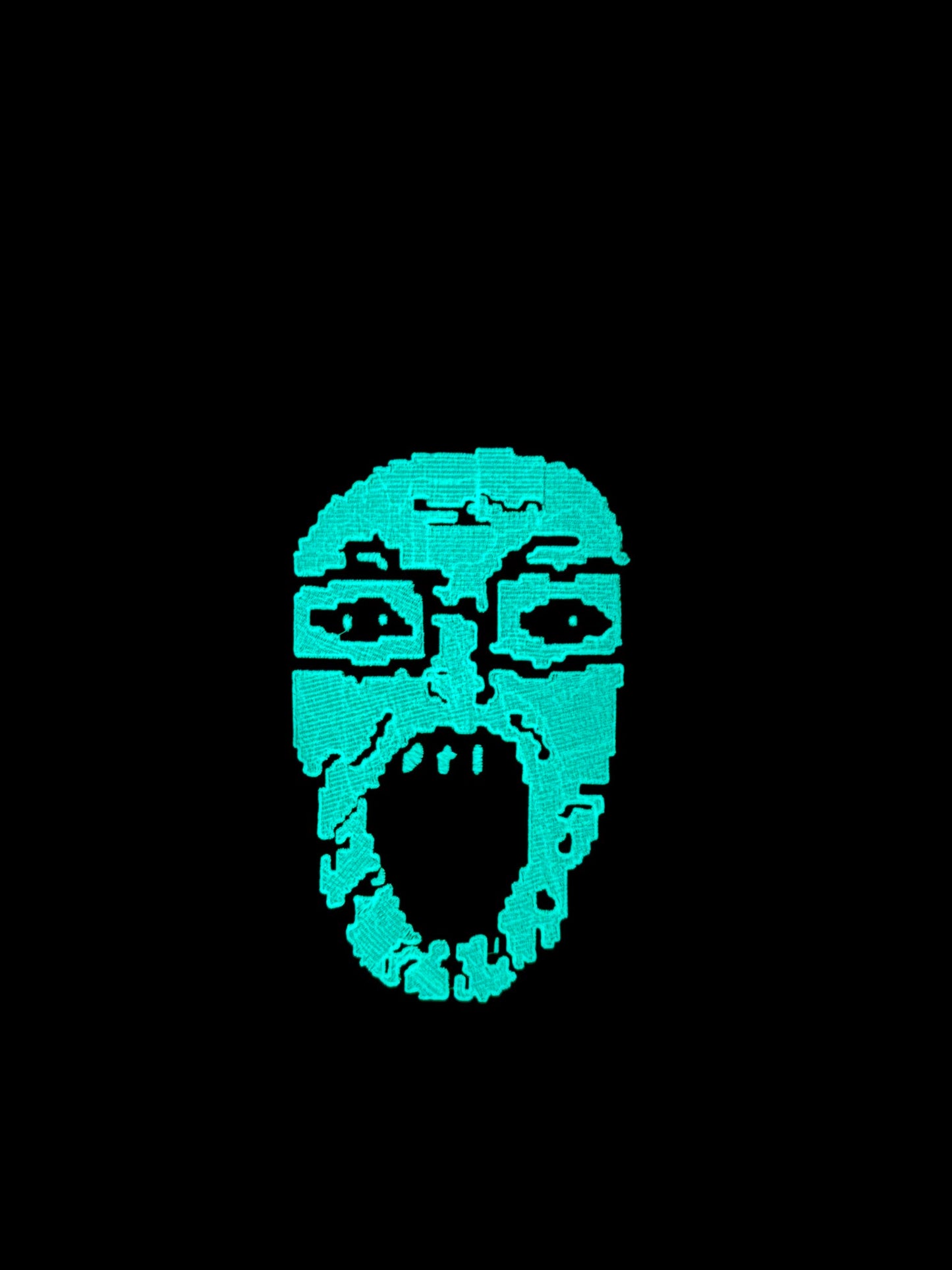 Glow in the Dark Screamer Face Embroidered Hoodie